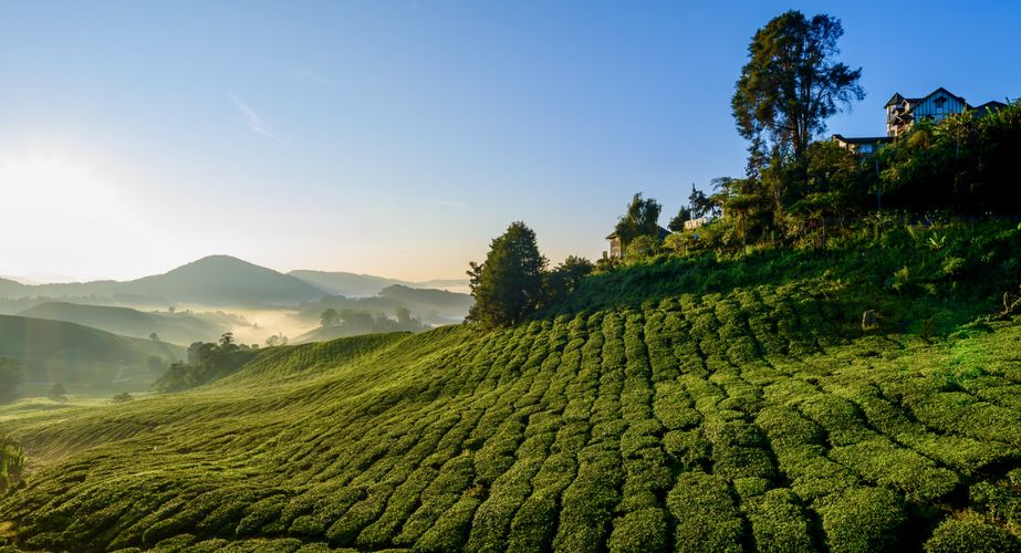 Prachtige natuur Maleisië Prachtige natuur Maleisië
